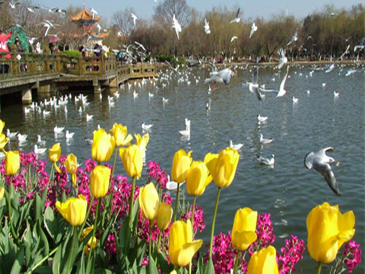 Jinjiang Inn Kunming Changshui Airport Guandu Ngoại thất bức ảnh